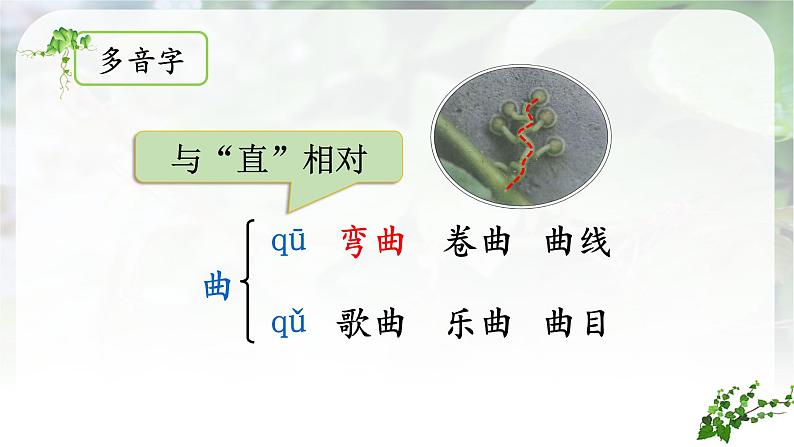 (教学课件)10.《爬山虎的脚》第7页