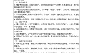 人教部编版六年级下册真理诞生于一百个问号之后学案设计
