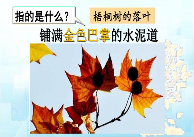 5 铺满金色巴掌的水泥道【精华版】——三年级上册语文课件第3页