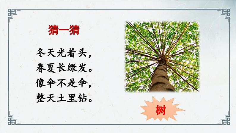 识字2 《树之歌》(课件)2024-2025学年统编版语文二年级上册第2页