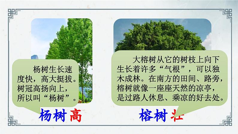 识字2 《树之歌》(课件)2024-2025学年统编版语文二年级上册第7页