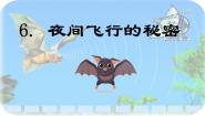 人教部编版四年级上册夜间飞行的秘密备课ppt课件