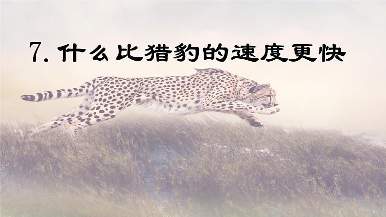 第7课 《什么比猎豹的速度更快》 -2024-2025学年五年级语文上册同步精品课件(统编版)第1页