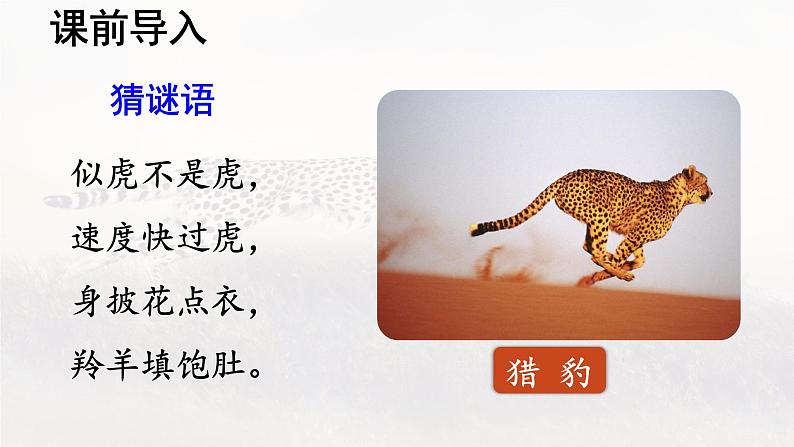 第7课 《什么比猎豹的速度更快》 -2024-2025学年五年级语文上册同步精品课件(统编版)第4页