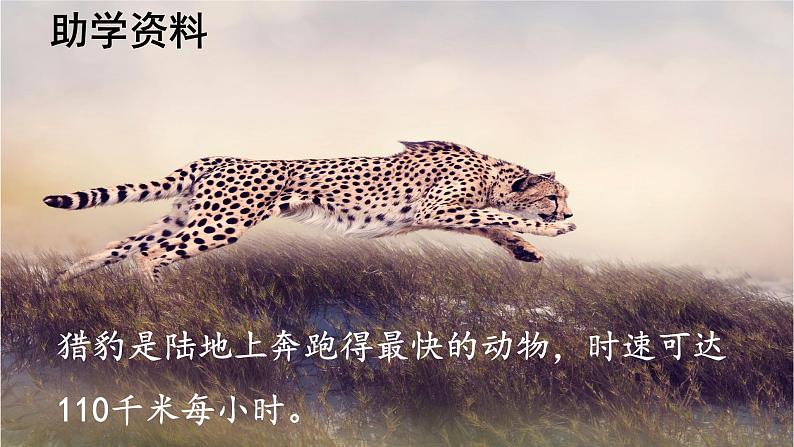 第7课 《什么比猎豹的速度更快》 -2024-2025学年五年级语文上册同步精品课件(统编版)第5页