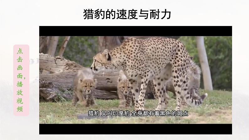 第7课 《什么比猎豹的速度更快》 -2024-2025学年五年级语文上册同步精品课件(统编版)第6页