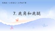 人教部编版三年级下册鹿腿教学ppt课件
