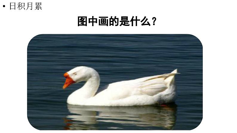 小学语文新部编版一年级上册第一单元《语文园地一》第2课时教学课件(2024秋)07