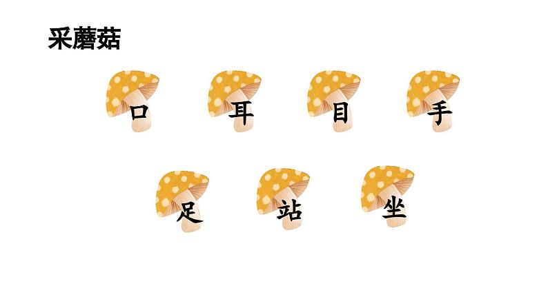 小学语文新部编版一年级上册第一单元第3课《口耳目手足》第2课时教学课件(2024秋)03