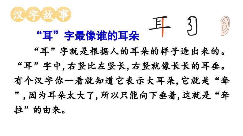 小学语文新部编版一年级上册第一单元第3课《口耳目手足》第2课时教学课件(2024秋)04