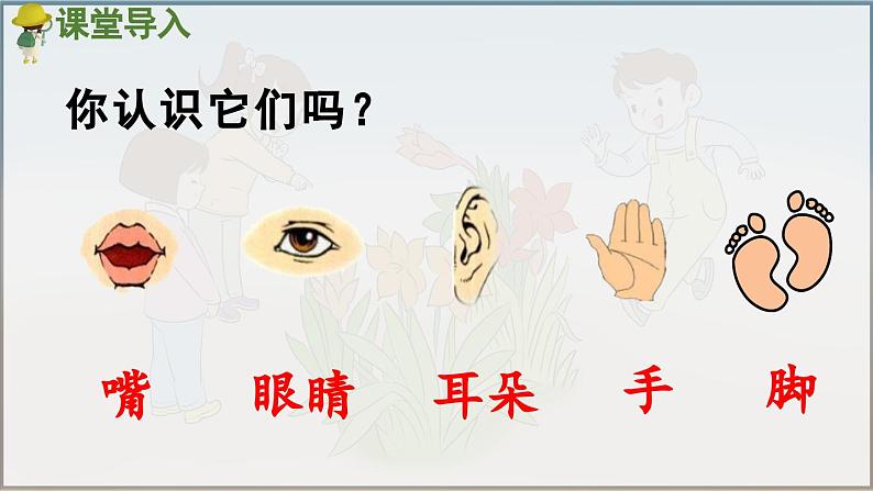 部编版(2024)一年级语文上册识字3《口耳目手足》优质课件03