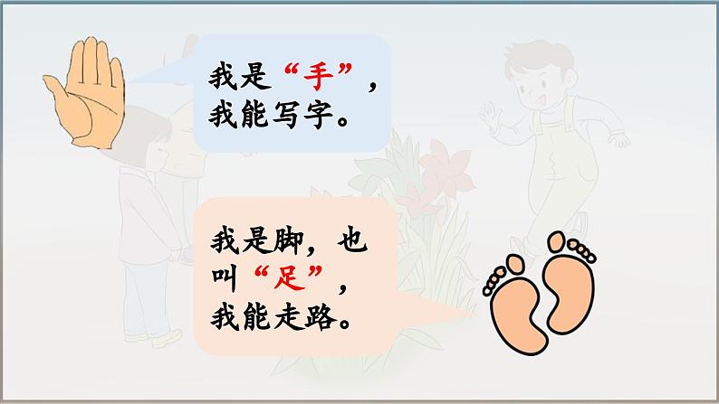 部编版(2024)一年级语文上册识字3《口耳目手足》优质课件05