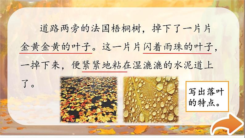 部编版语文三上 5《铺满金色巴掌的水泥道》课件PPT+练习(含答案)08