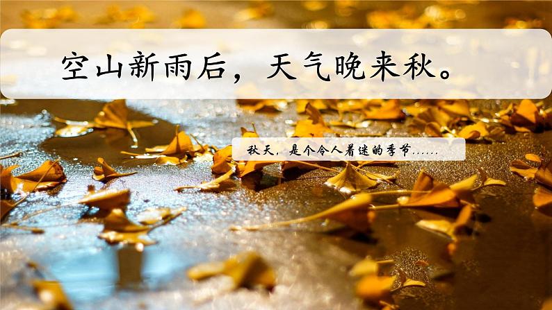 部编版语文三上 5《铺满金色巴掌的水泥道》课件PPT+练习(含答案)01