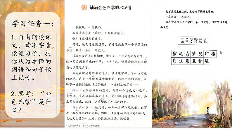 部编版语文三上 5《铺满金色巴掌的水泥道》课件PPT+练习(含答案)07