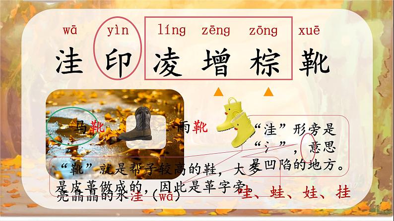 部编版语文三上 5《铺满金色巴掌的水泥道》课件PPT+练习(含答案)08