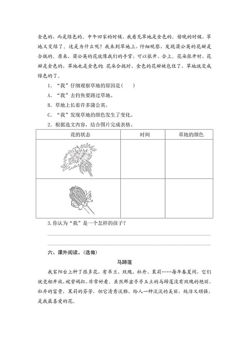 部编版语文三上 16《金色的草地》课件PPT+练习(含答案)02
