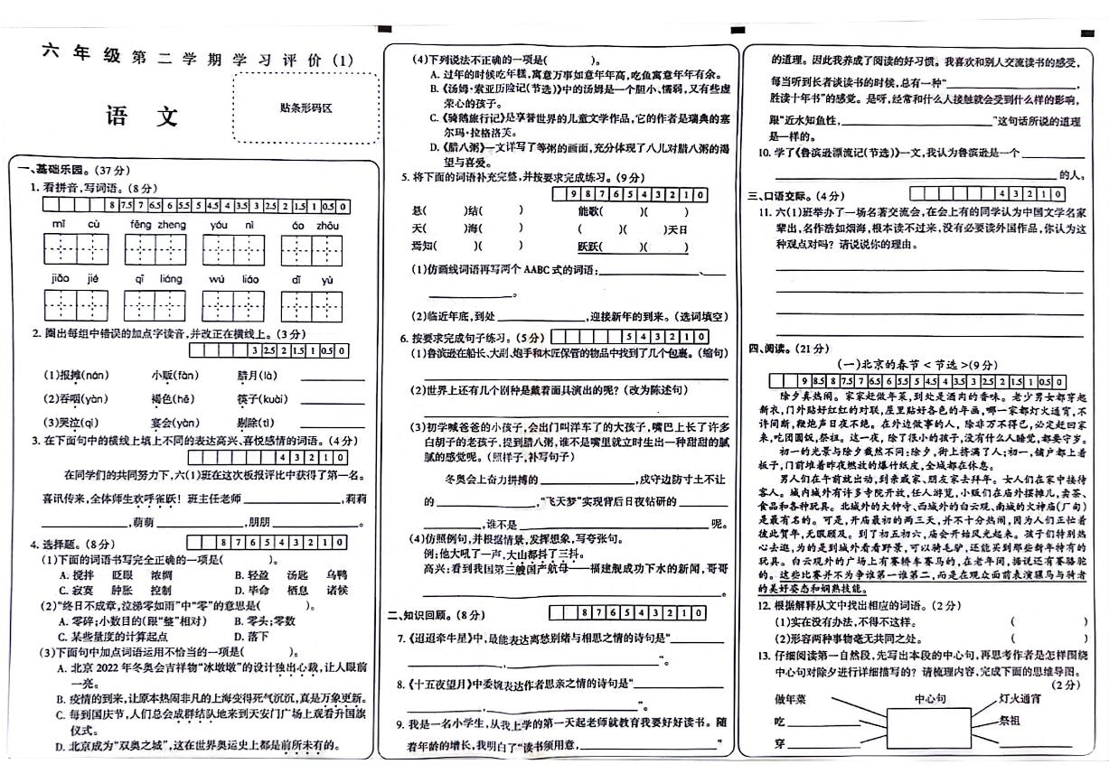 河南省驻马店市确山县城区2022-2023学年六年级下学期第一次月考语文试卷