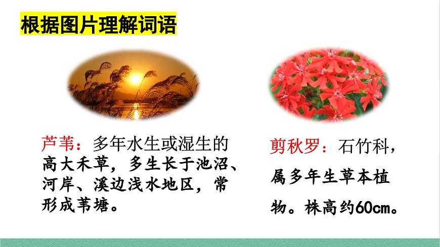 部編版小學(xué)語文四年級(jí)上冊(cè)3現(xiàn)代詩兩首課件第7頁