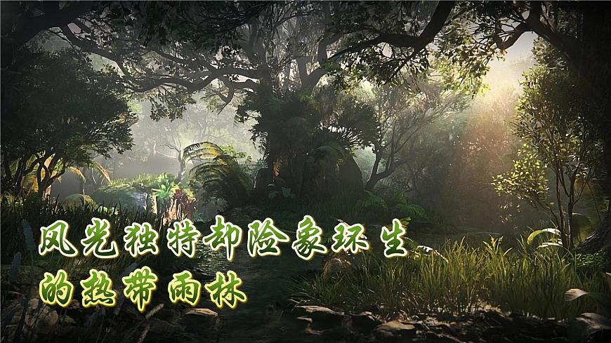 習(xí)作:神奇的探險(xiǎn)之旅第7頁(yè)