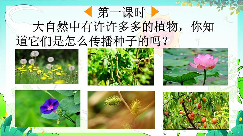 五四制语文二年级上册 第1单元 3 植物妈妈有办法 PPT课件+教案+练习02