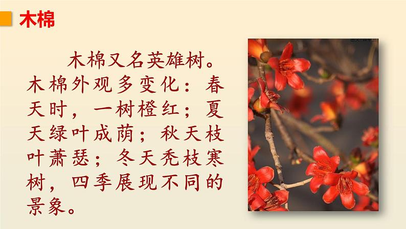 五四制语文二年级上册 第2单元 识字2 树之歌 PPT课件+教案+练习01