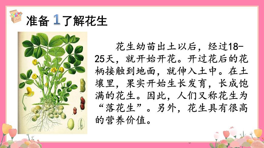 【核心素養(yǎng)】部編版小學(xué)語文五年級上冊 2 落花生 課件第6頁