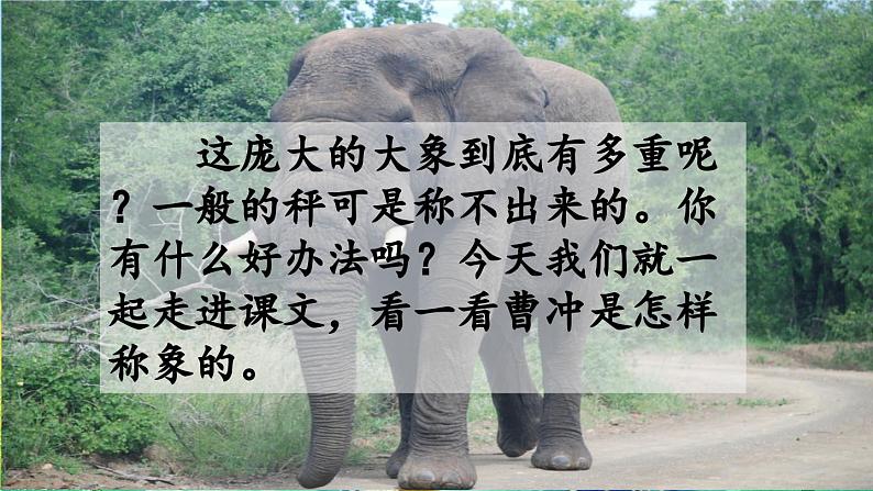 五四制语文二年级上册 第3单元 4 曹冲称象 PPT课件+教案+练习02