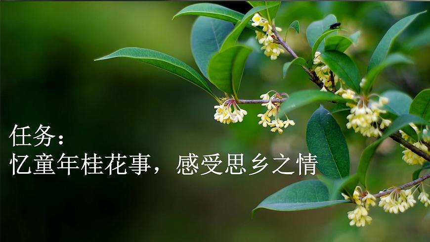 【核心素養(yǎng)】部編版小學(xué)語文五年級(jí)上冊(cè) 3 桂花雨 課件第4頁