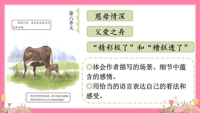 【核心素养】部编版小学语文五年级上册 18 慈母情深 课件+教案(含教学反思) +素材05