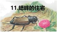 语文四年级上册蟋蟀的住宅教案配套课件ppt