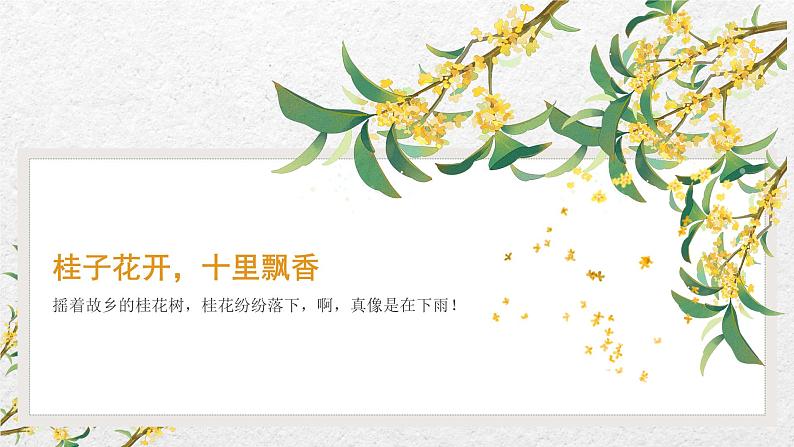 统编版五年级语文上册课件 第一单元第3课《桂花雨》(第二课时)第2页