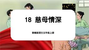 语文慈母情深一等奖课件ppt