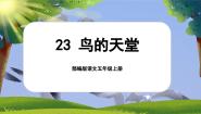 人教部编版五年级上册鸟的天堂优质ppt课件