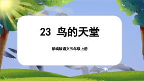 人教部编版五年级上册鸟的天堂优质ppt课件