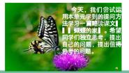 小学语文蝴蝶的家教学演示课件ppt