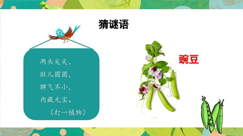 部编版四上语文课件第5课《一个豆荚里的五粒豆》(第1课时)第6页
