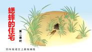 语文四年级上册蟋蟀的住宅课文课件ppt