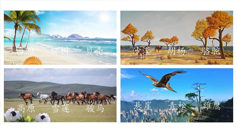 部编版二上语文第7单元《语文园地七》(教学课件)第3页