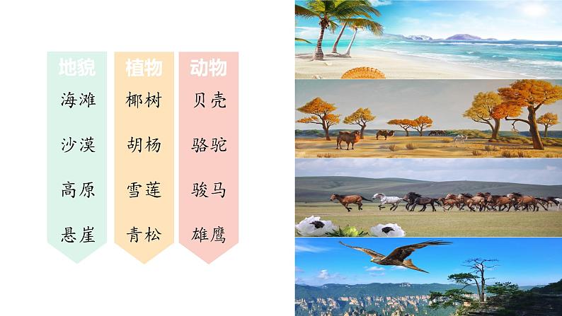 部编版二上语文第7单元《语文园地七》(教学课件)第4页