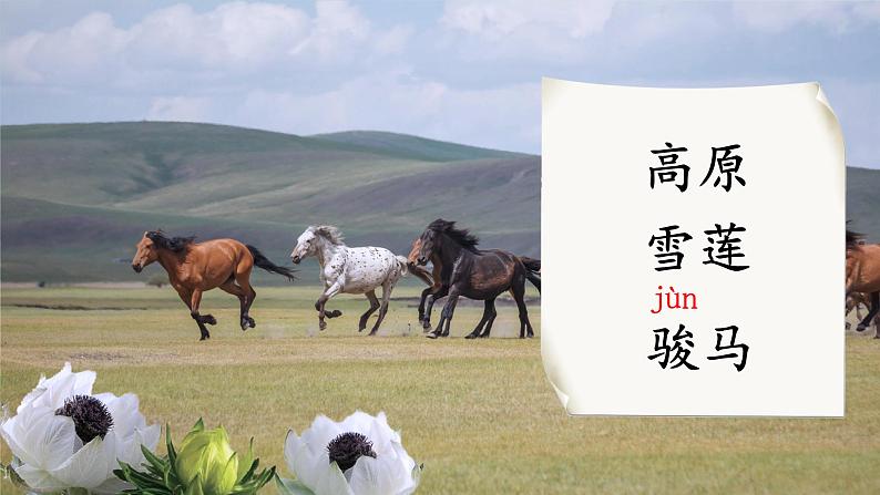 部编版二上语文第7单元《语文园地七》(教学课件)第7页