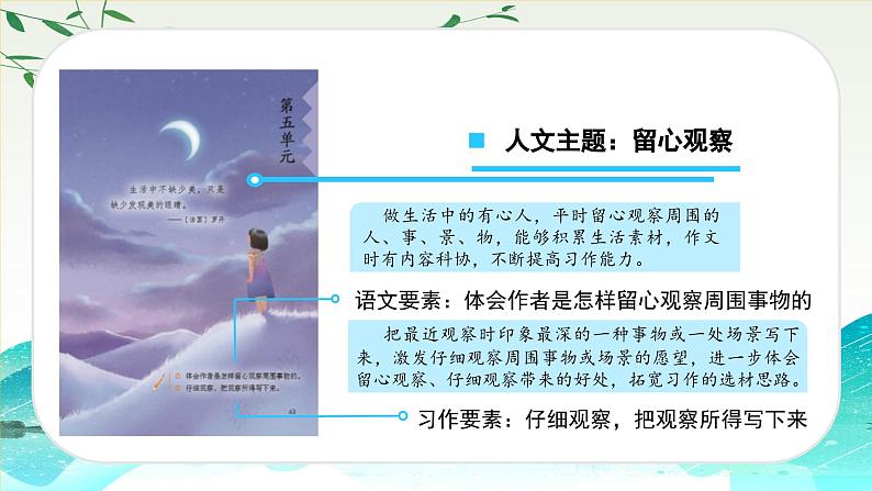 部编版三上语文第5单元第15课《搭船的鸟》(第1课时)(教学课件)第3页