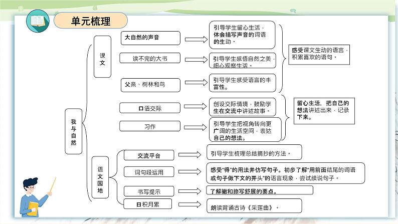 部编版三上语文第7单元(复习课件)-2023-2024学年三年级语文上册单元速记·巧练03