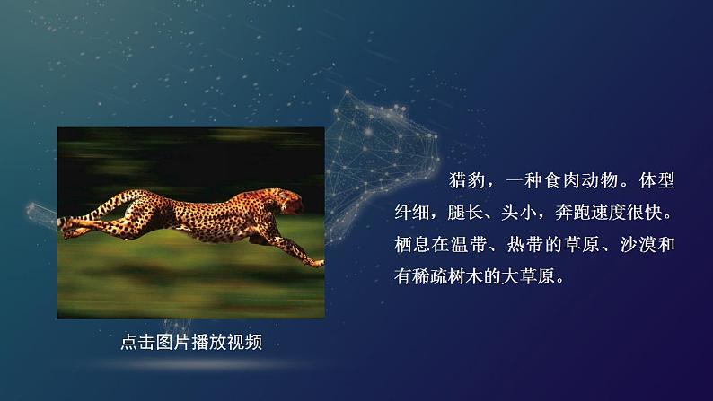 部编版五上语文第二单元第7课《什么比猎豹的速度更快》(第一课时)(教学课件)16第7页