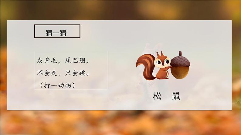 部编版五上语文第五单元第17课《松鼠》(第一课时)(教学课件)5第1页