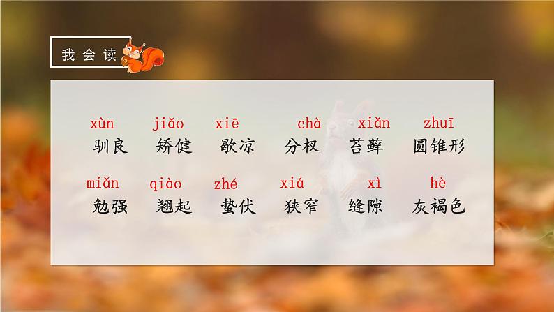 部编版五上语文第五单元第17课《松鼠》(第一课时)(教学课件)5第6页