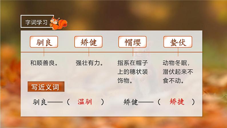 部编版五上语文第五单元第17课《松鼠》(第一课时)(教学课件)5第7页