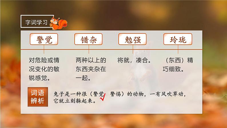 部编版五上语文第五单元第17课《松鼠》(第一课时)(教学课件)5第8页