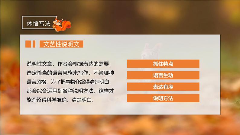 部编版五上语文第五单元第17课《松鼠》(第二课时)(教学课件)3第8页