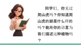 小学语文统编版（2024）四年级上册爬山虎的脚课文内容ppt课件